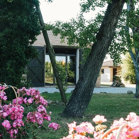 Agriturismo Palazzo Baldini Villa Bagnacavallo Exterior foto